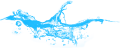 CAM SULARI